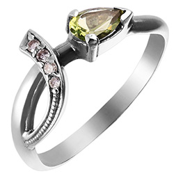 Серебряное кольцо "Саламандра"